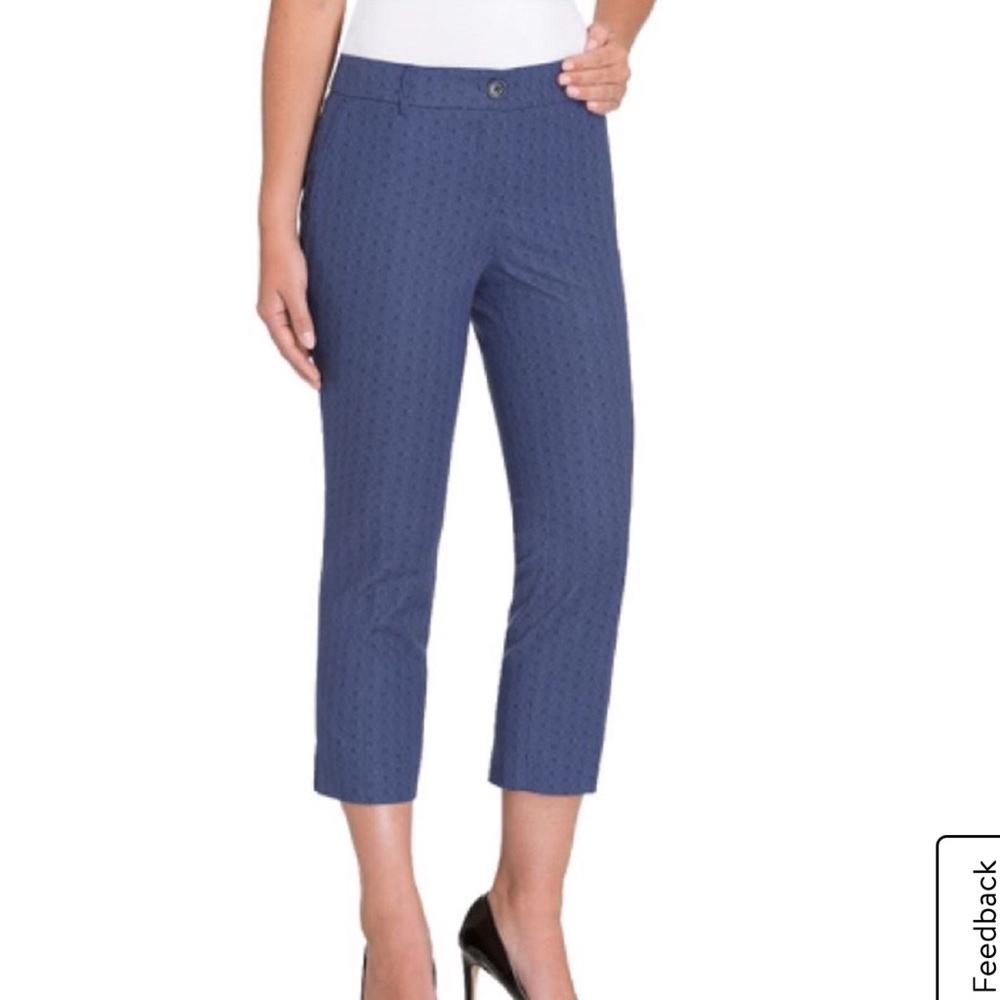 Hilary Radley Blue Cotton Crop Pants